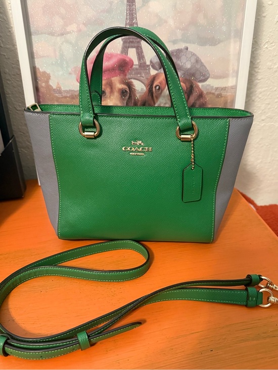 Coach Handbags - COACH Alice Green and Gray Colorblock Mini Satchel